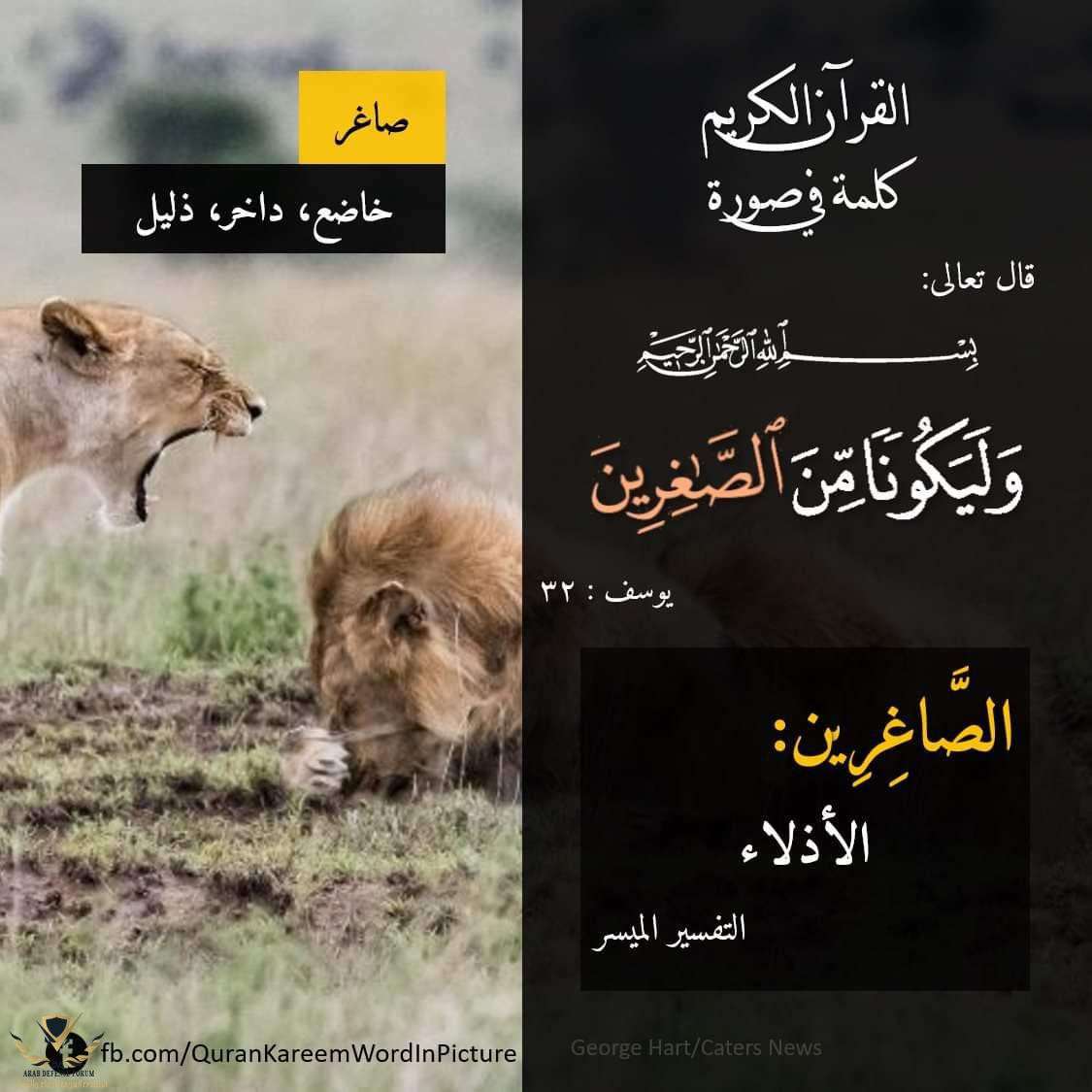 1635699944772.png