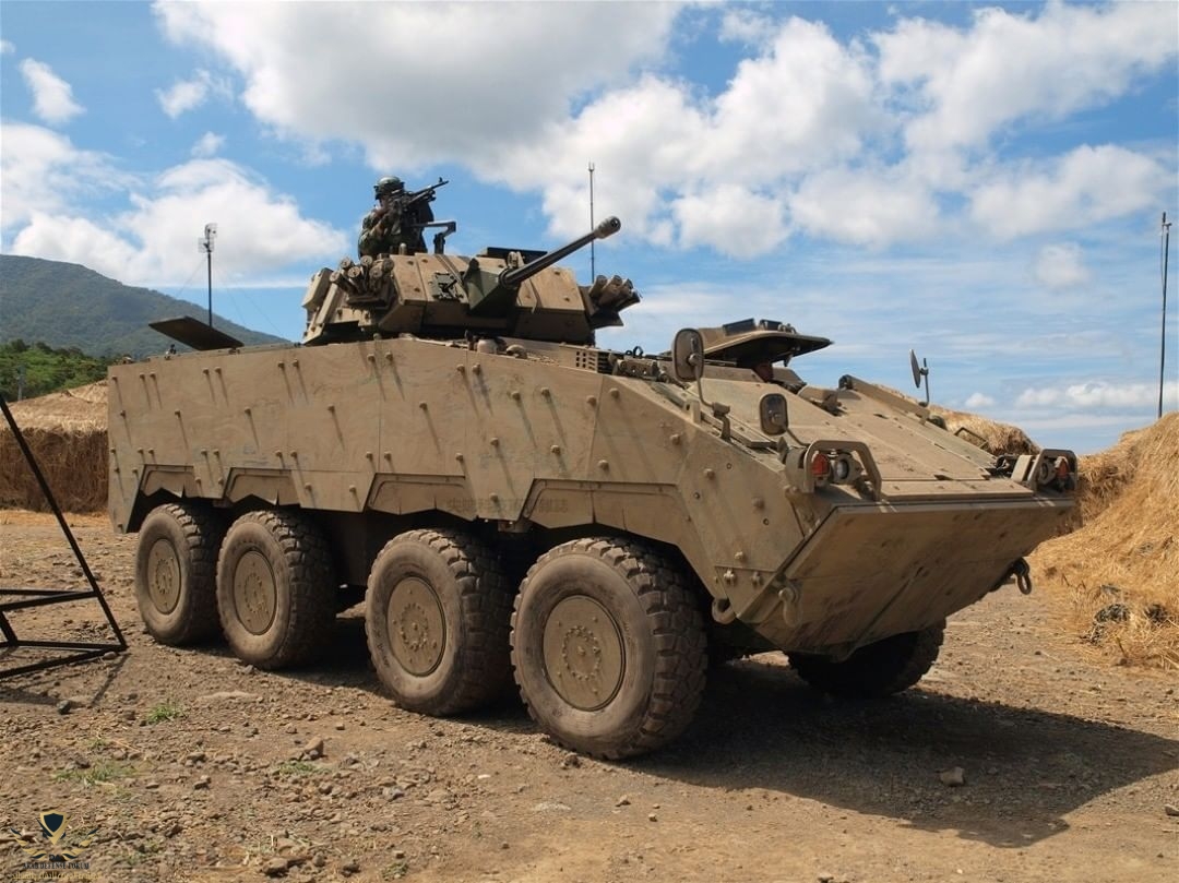 YMMF2LJCDV244135005_392805239171226_4716274609653515273_n.jpg