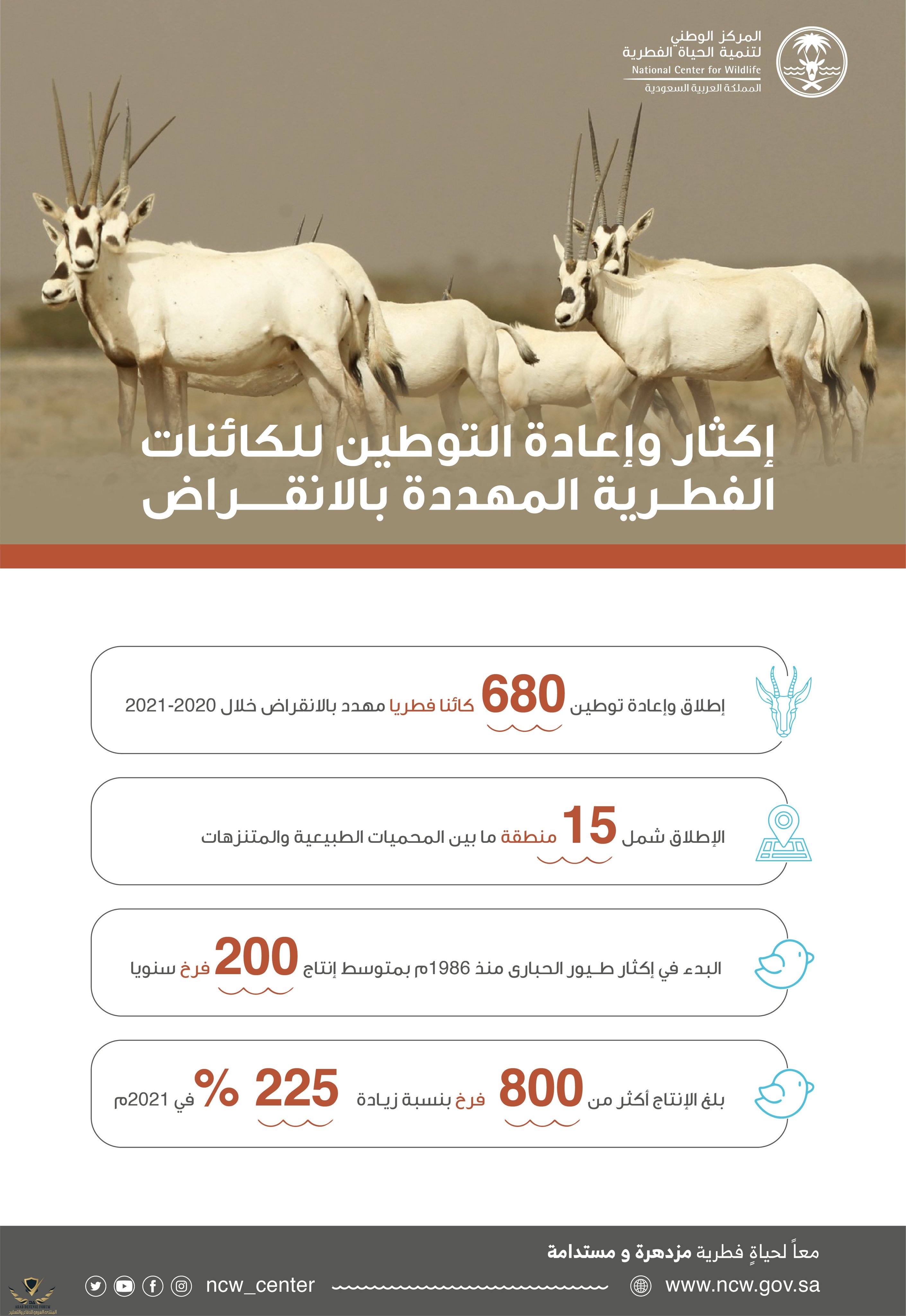٢٠٢١١١٠٦_١٣٠١٥٦.jpg