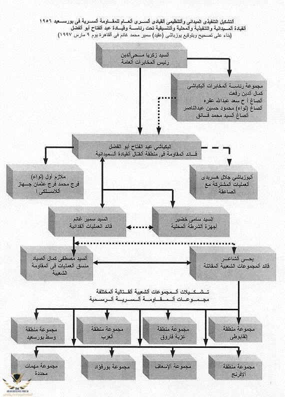 Orga-Procedual-Struct-Grps-2--s.JPG