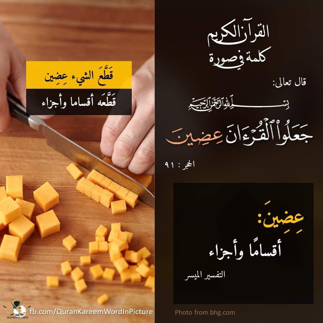 1637223257663.png