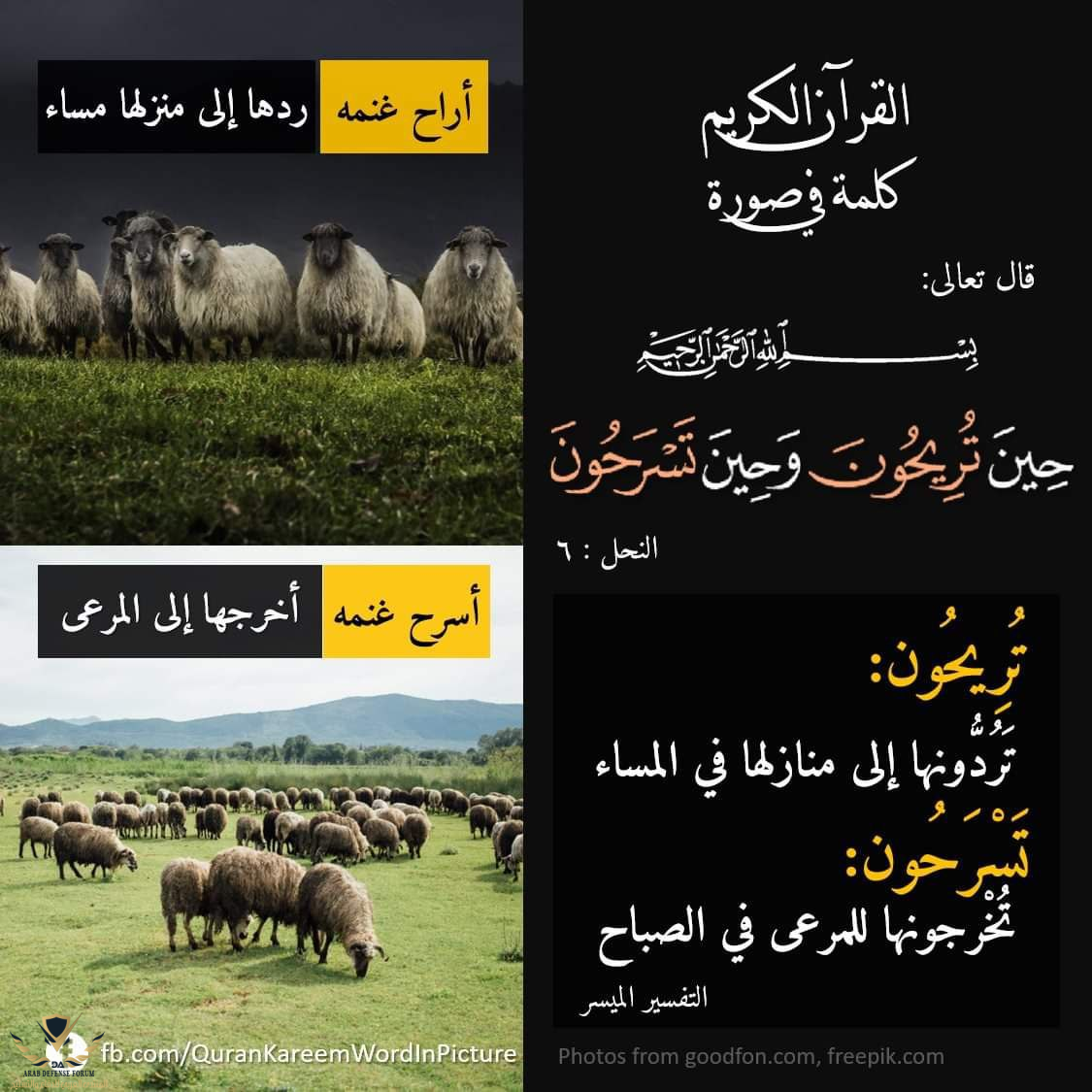 1637223722511.png