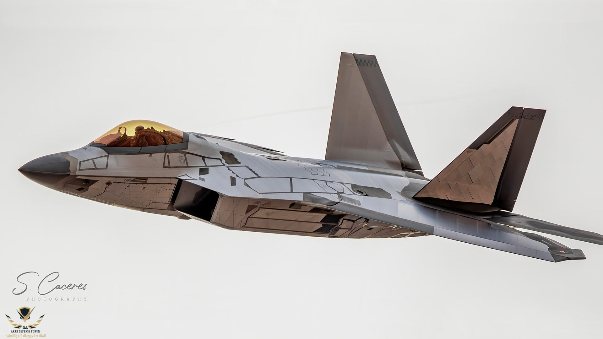 F-22-Silver-coating-nellis (1).jpg