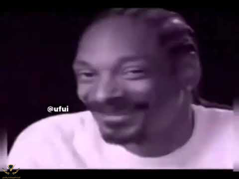 1637767263366.png