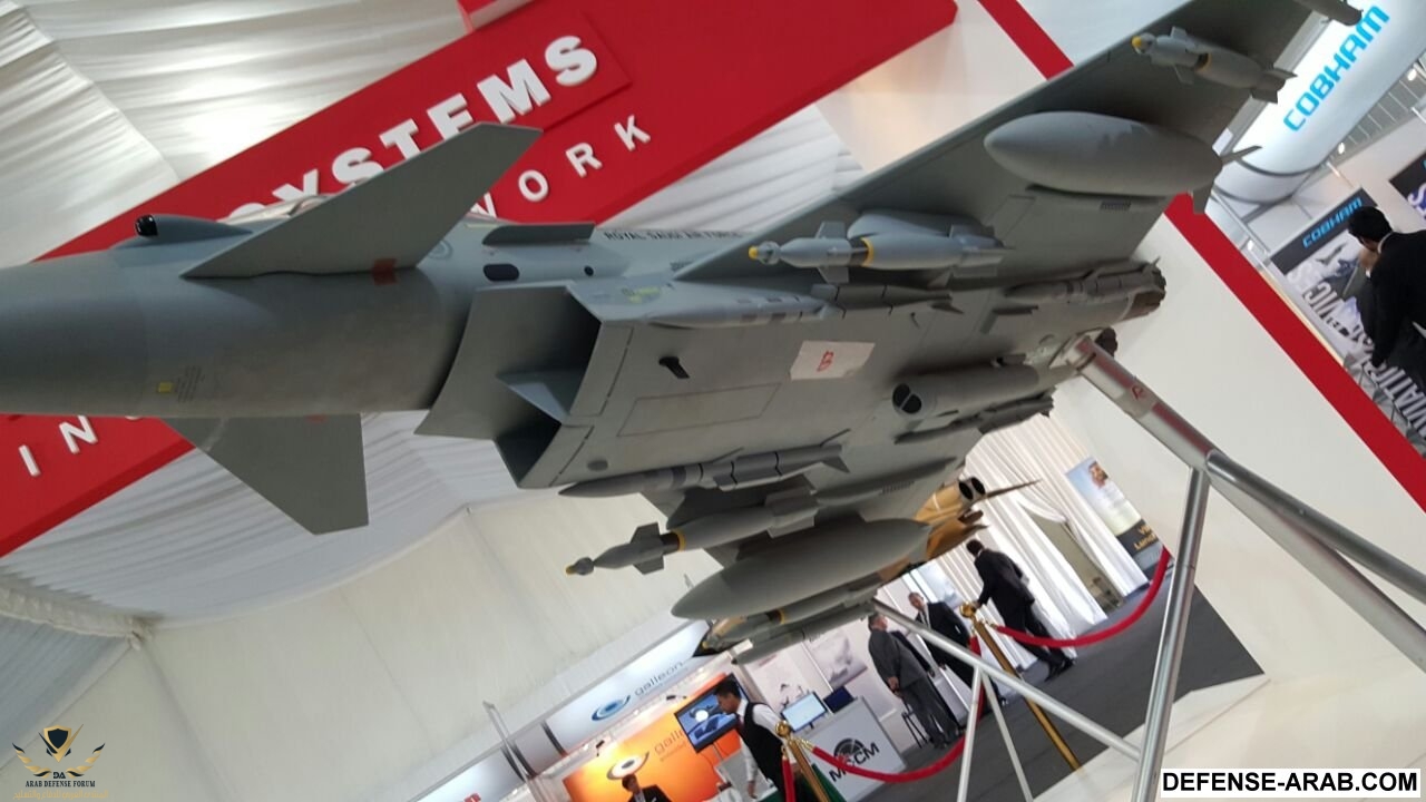 816201911_12822.jpg