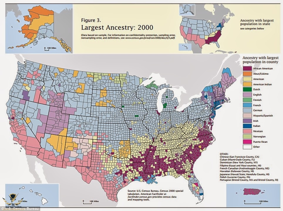 USA-ethnicity-map.jpg