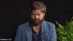 BlackDefensiveCat-max-1mb.gif