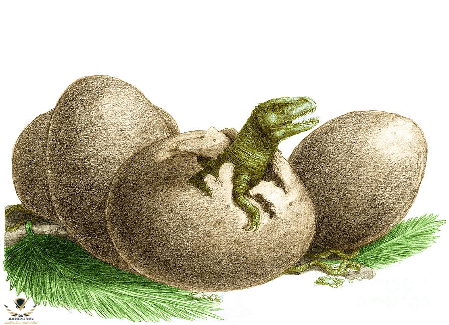 dinosaur-egg-hatching-spencer-sutton.jpg