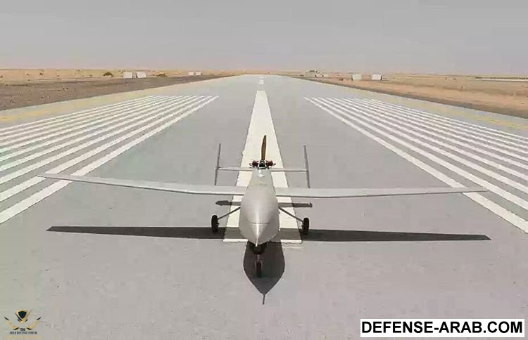 saudi_support-4.jpg