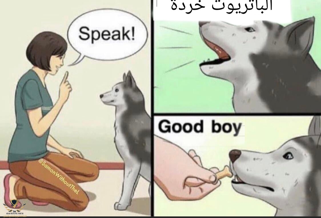 Lumii_٢٠٢١١٢٢٠_٢١٥٢٢٨٤١٤.jpg