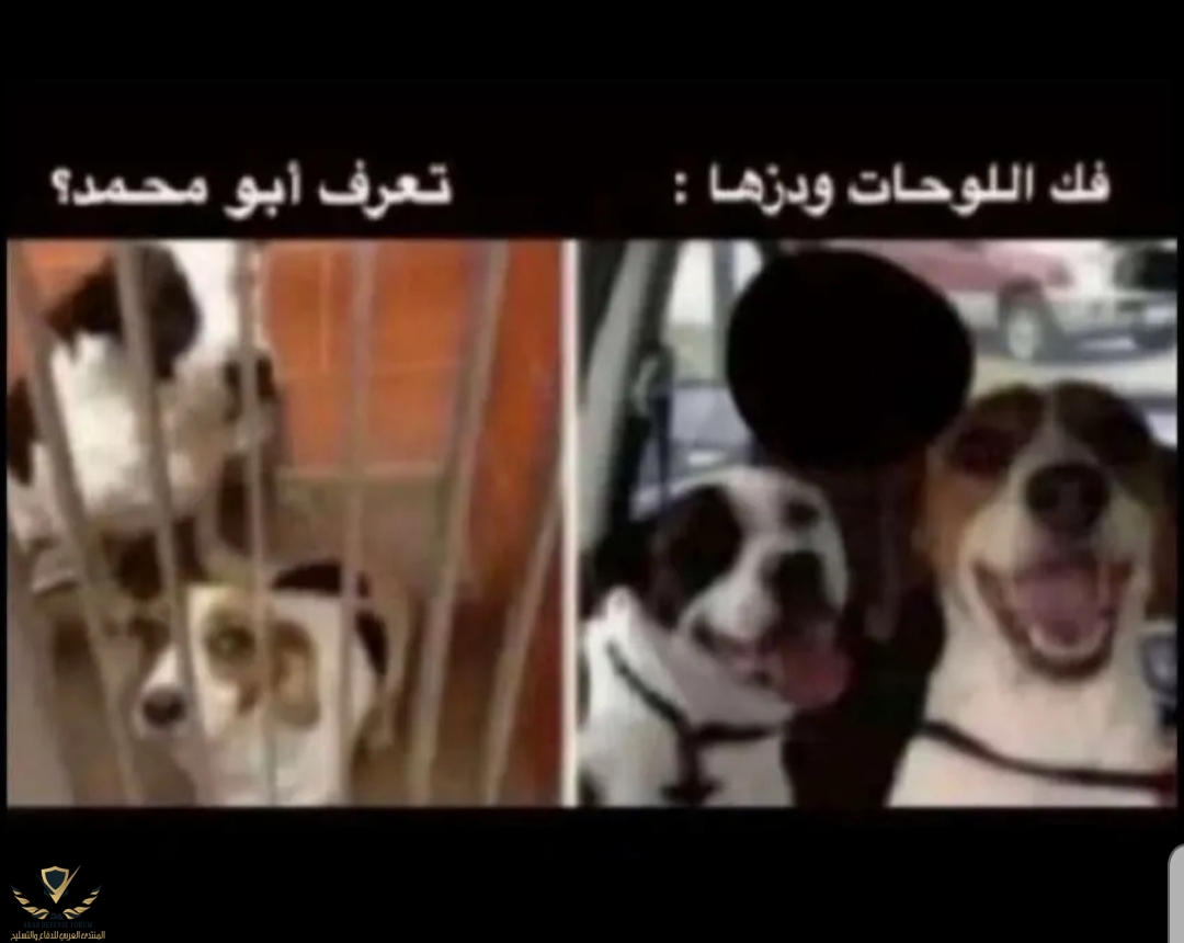 ٢٠٢١١٢٢٦_١١١٨٤٨.jpg