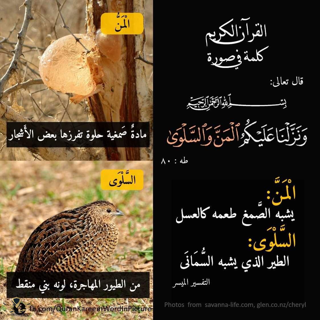 1640859447564.png