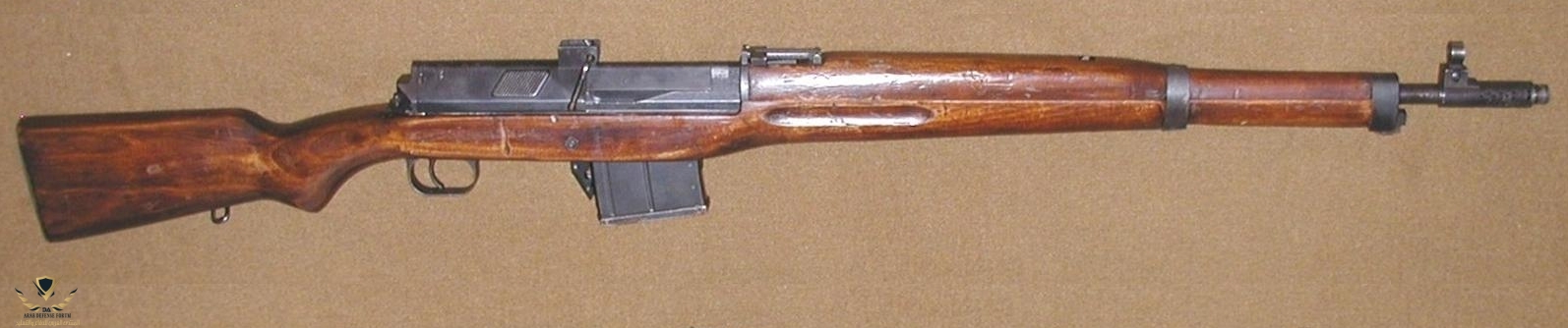 Rifle_Hakim.jpg