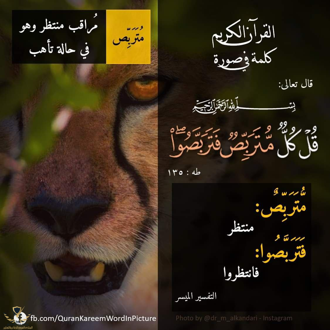 1641036385238.png