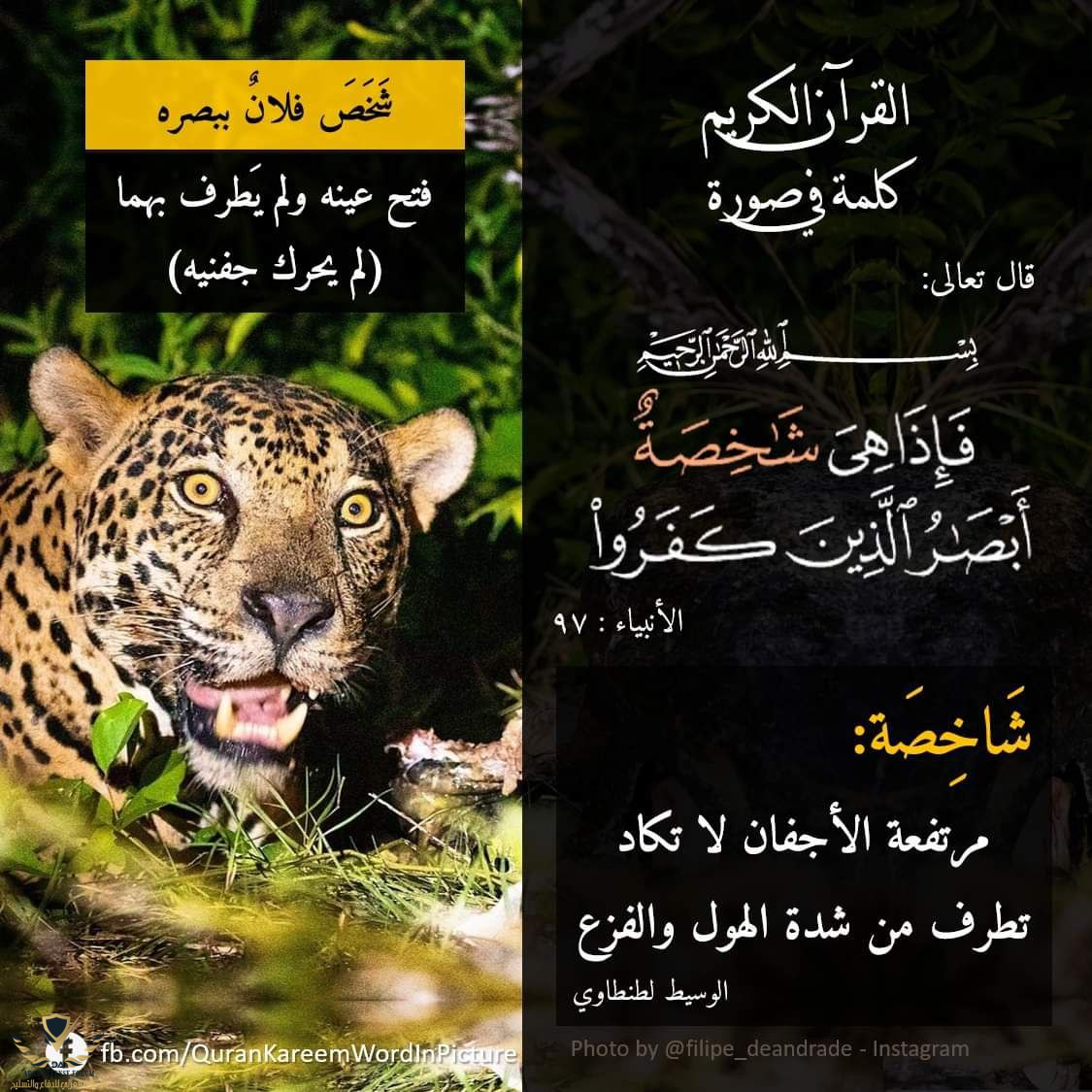 1641447022320.png