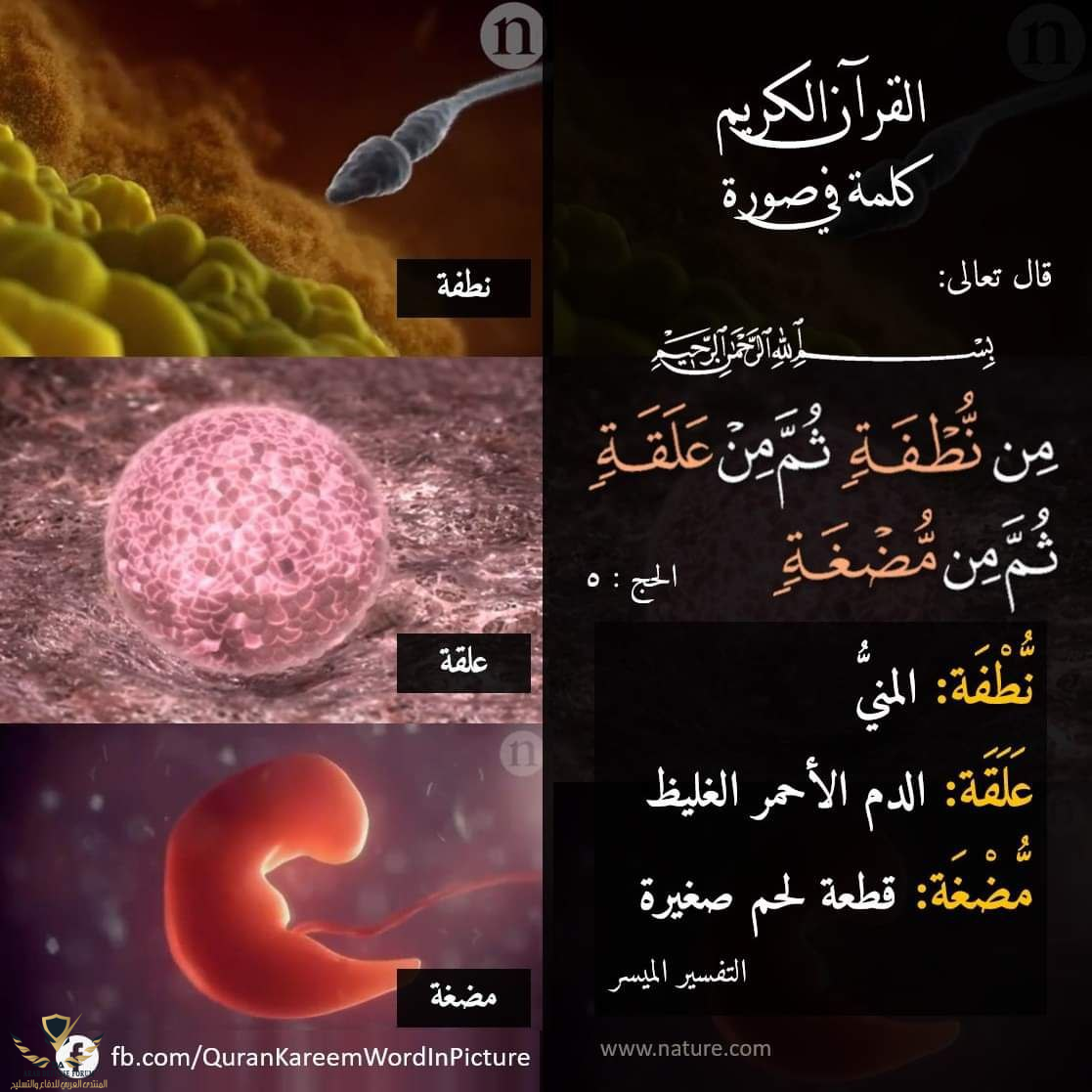 1641504429228.png