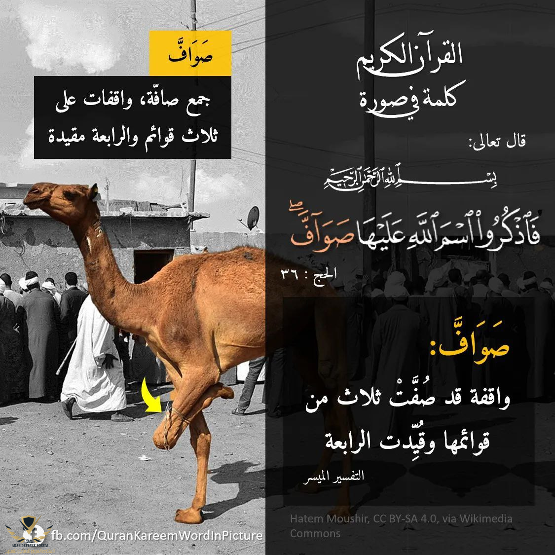 1641845963377.png