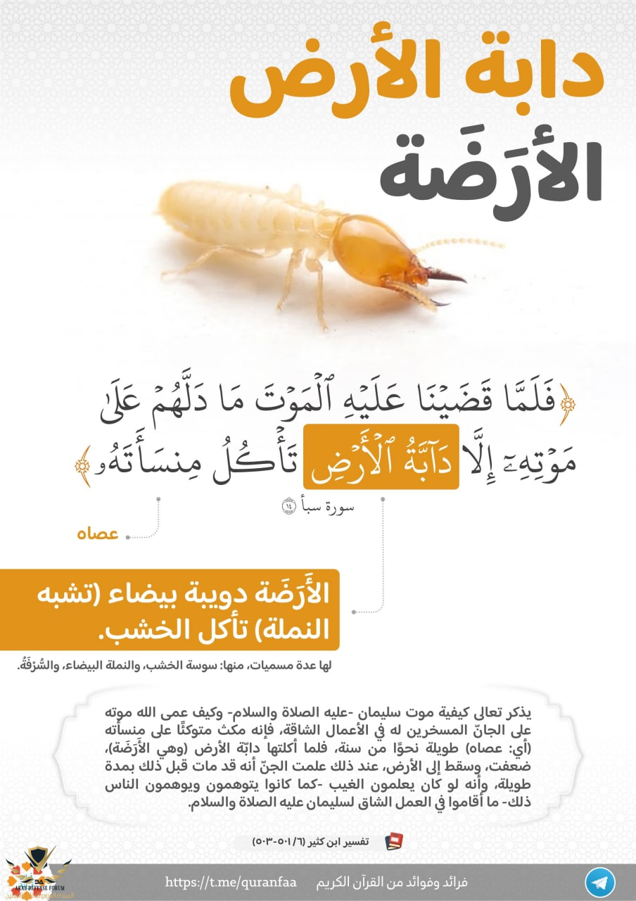 1642152220374.png