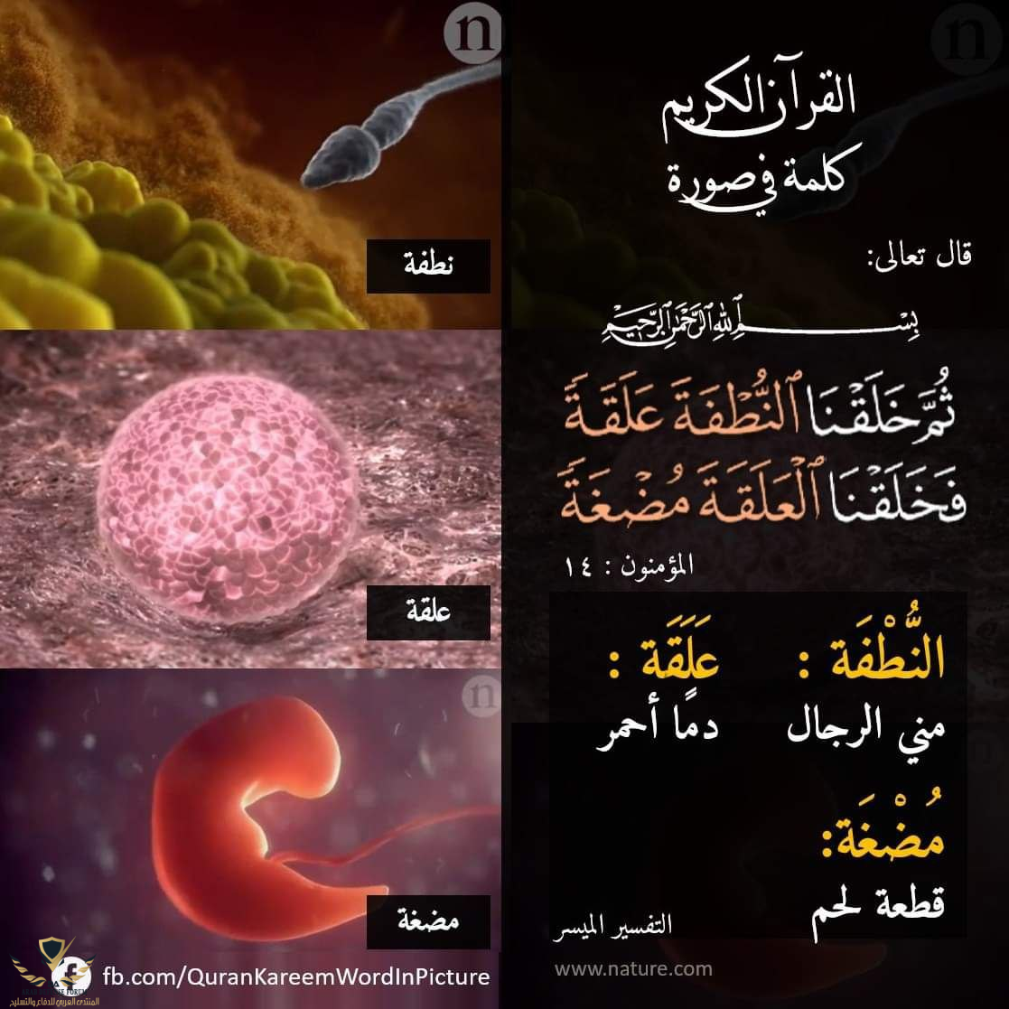 1642231140984.png