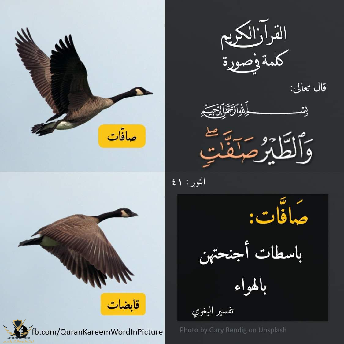1642920912519.png