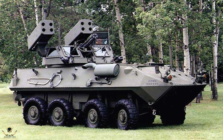 lav1.jpg