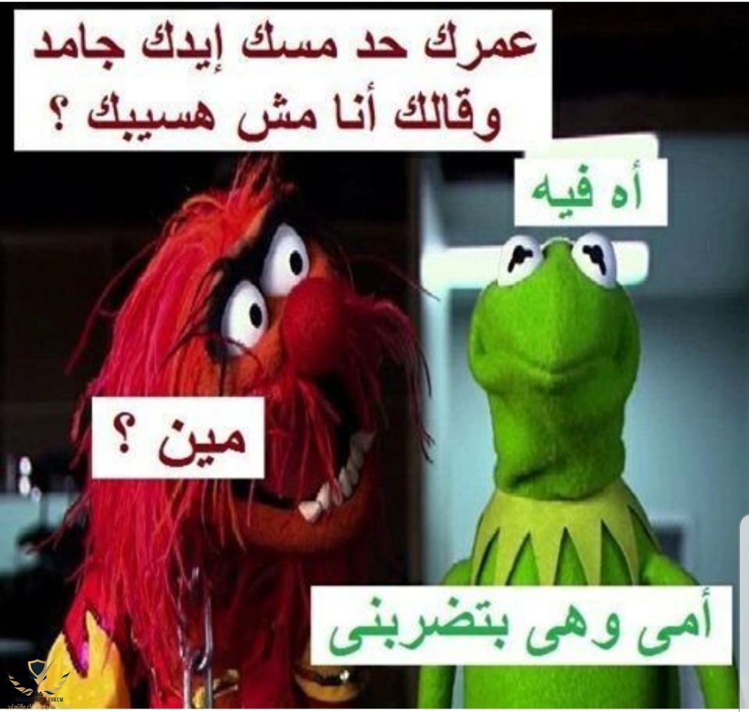 ٢٠٢٢٠٢١١_١٦٠٨٥٤.jpg