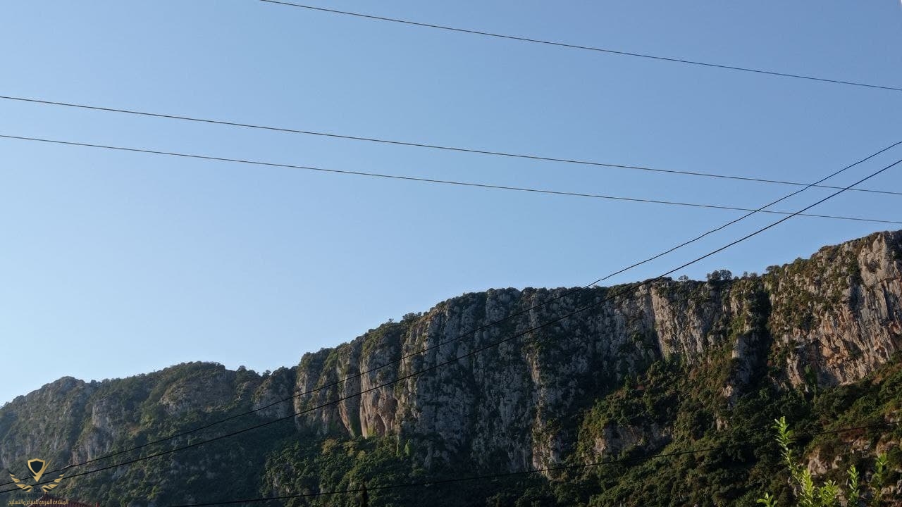 m1.jpg