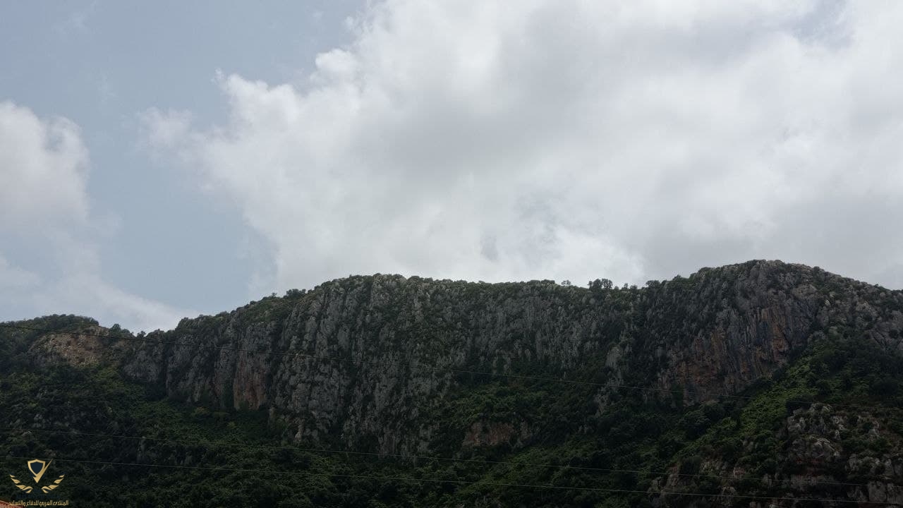 m11.jpg