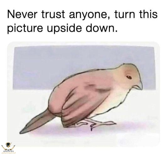 0F4EA263-4655-4FA4-9C14-0A42A0E92C36.jpeg