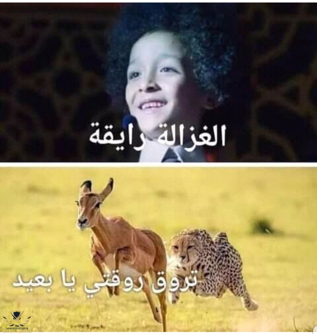٢٠٢٢٠٣٠٢_٢١٢٨٠٣.jpg