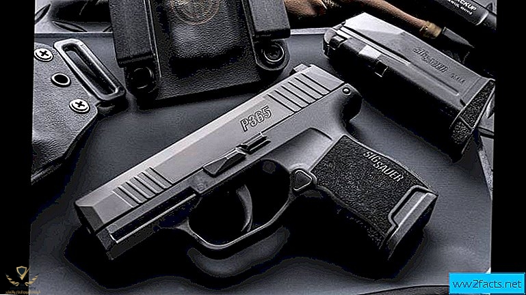 2018-sig-sauer-p365.jpg