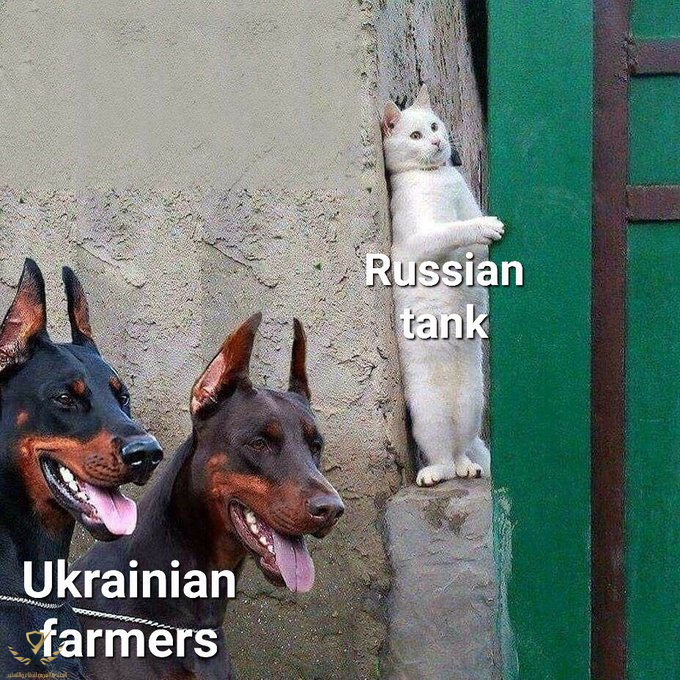 1647164348939.png