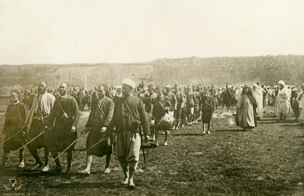 1911.png
