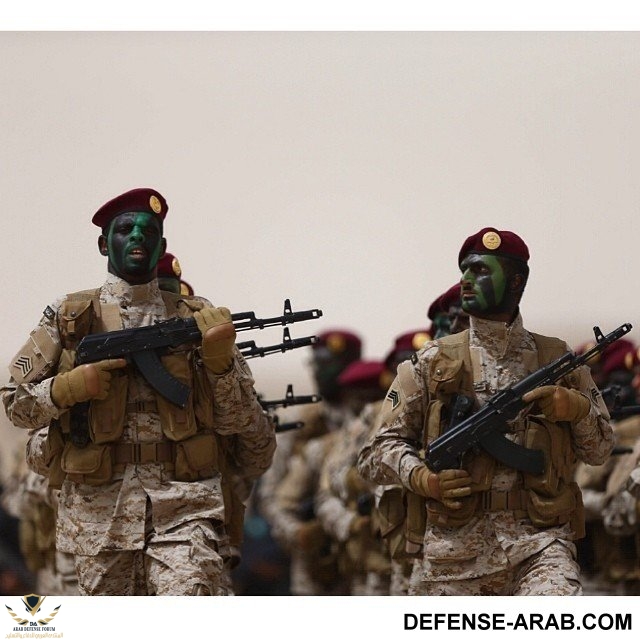 saudi_militarya-3.jpg