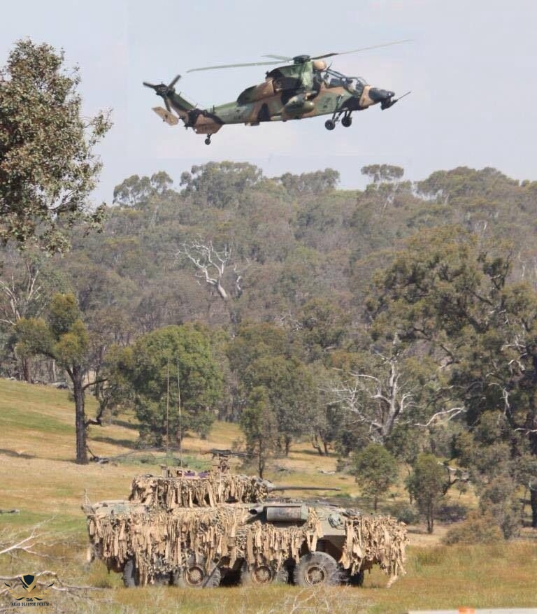 Here we see a ASLAV (Australian light armoured vehicle) and tiger pictured together during an...jpeg