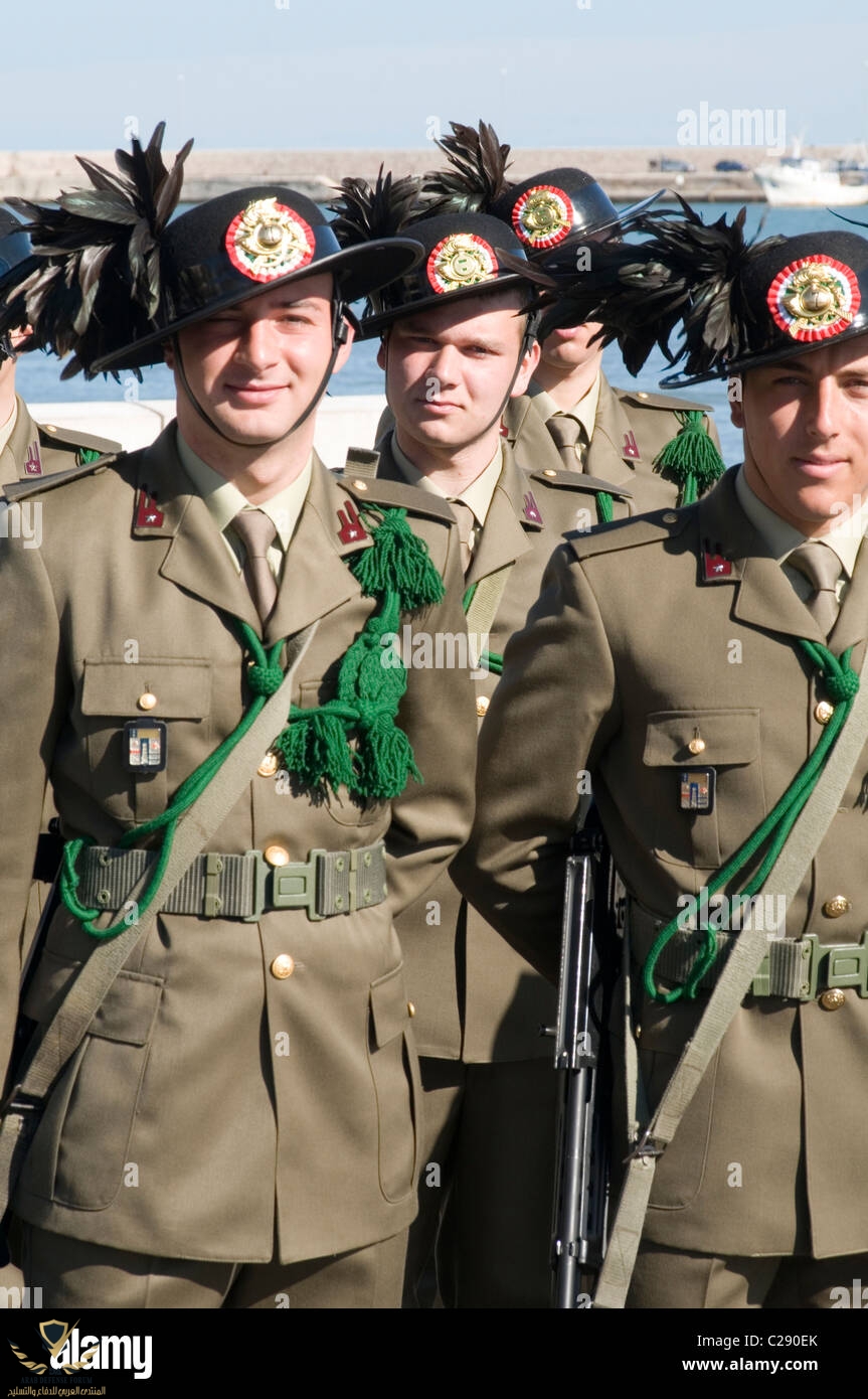 italian-army-uniform-feathers-bersaglieri-black-capercaillie-feather-C290EK.jpg