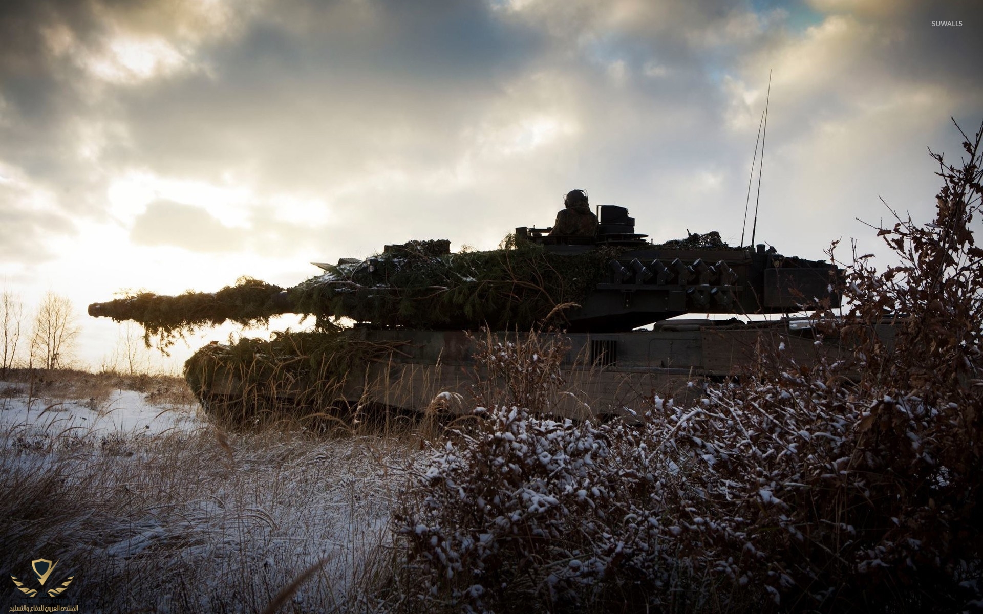 leopard-2-tank-hidden-in-the-bushes-48134-1920x1200.jpg