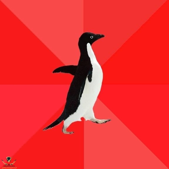 Socially_Awesome_Penguin_RE_Which_meme_are_you-s576x576-168418.jpg