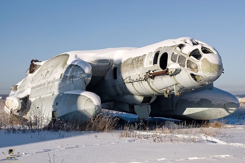 The strange looking Bartini Beriev VVA-14, a Soviet vertical take-off amphibious aircraft - T...jpeg