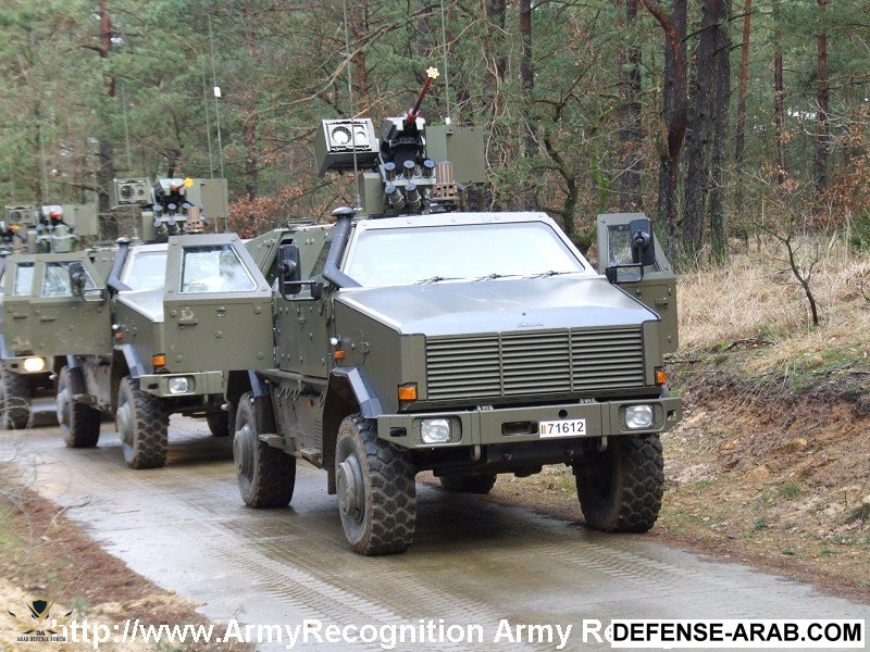 Dingo_2_MPPV_Belgium_army_003.jpg