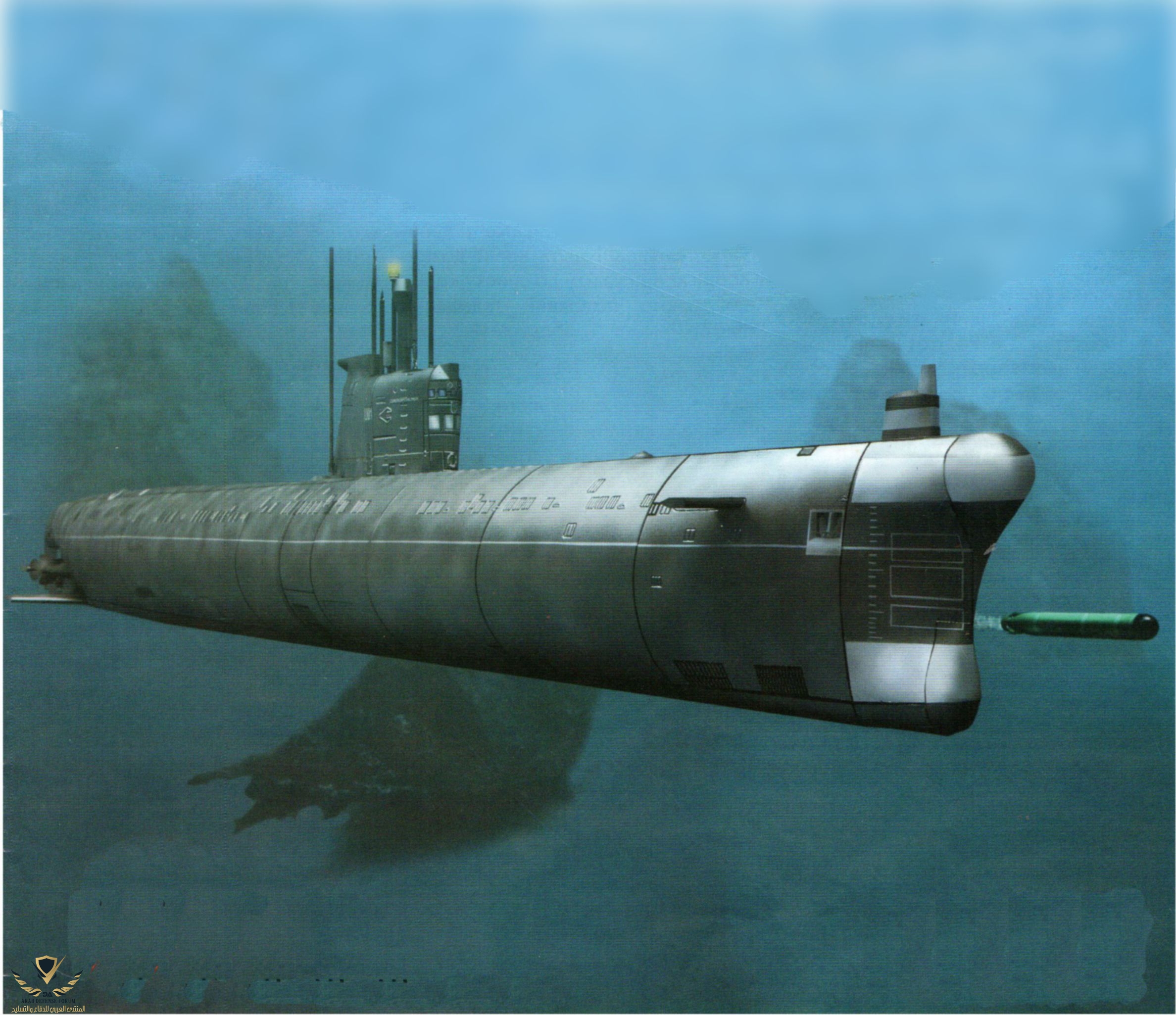 wilma-2.jpg
