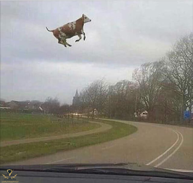 1651359414330.png