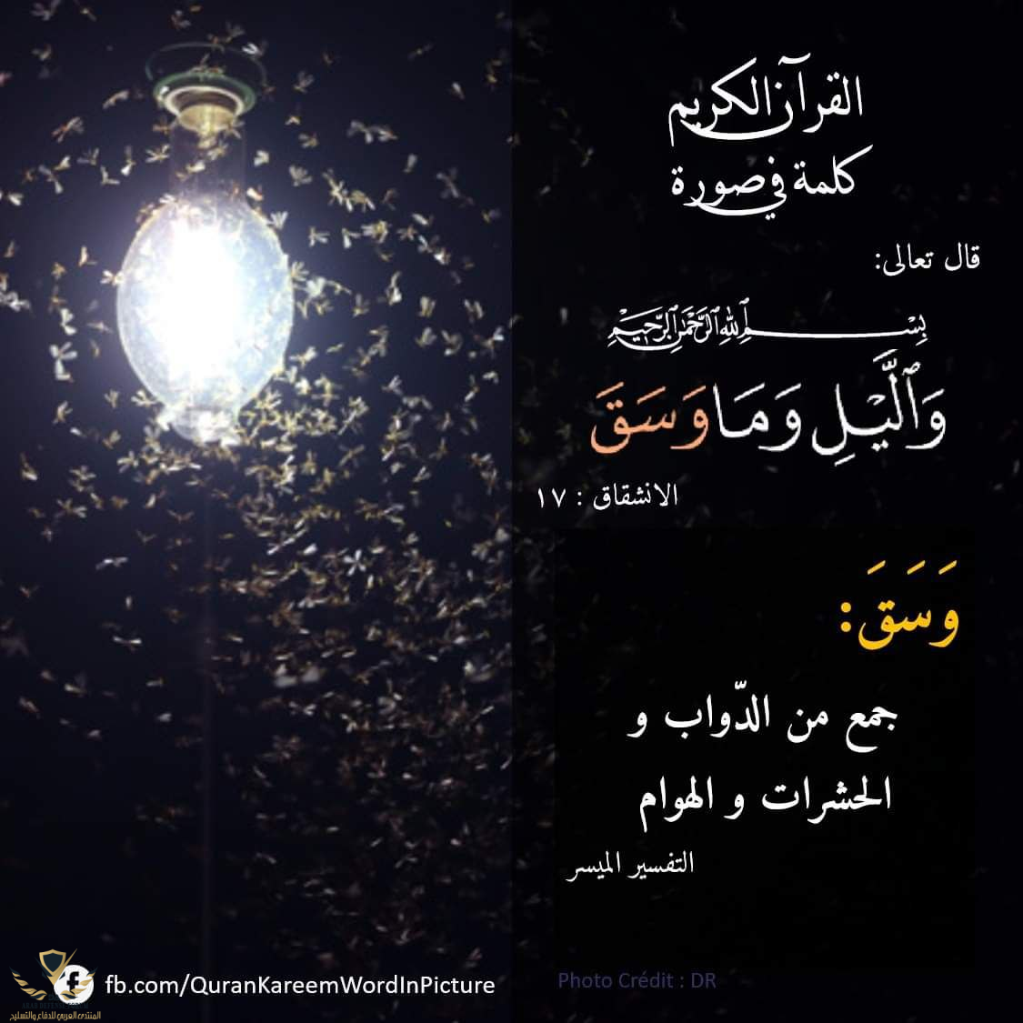 1651730956127.png