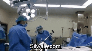giphy (23).gif