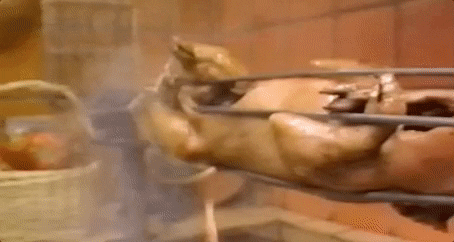 giphy (26).gif