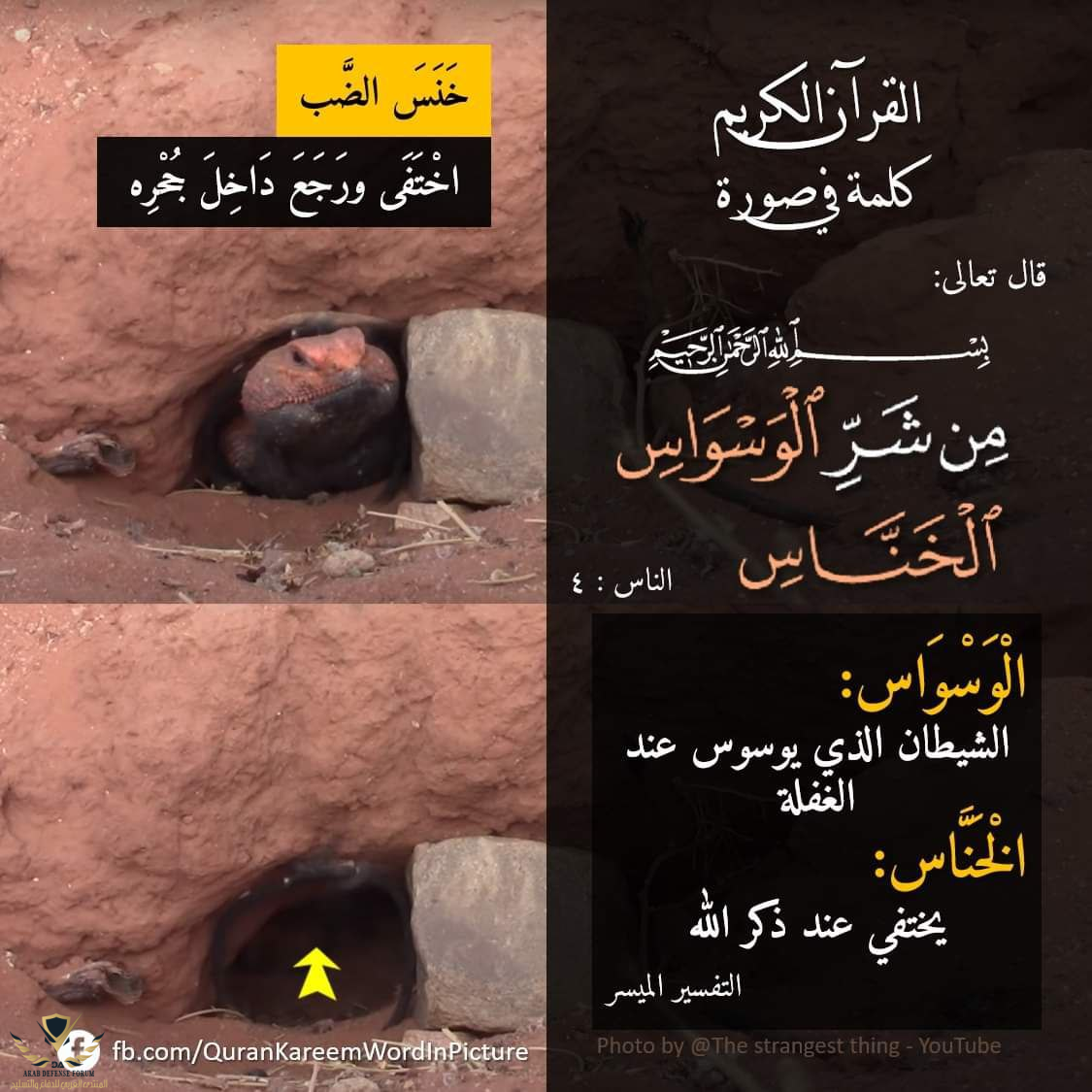 1652254772213.png