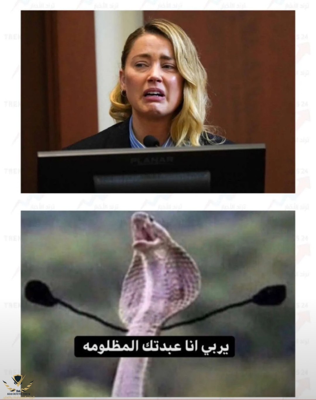 Screenshot_٢٠٢٢٠٥٠٦_٢٢٠٧٣٠.jpg