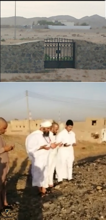 بدون عنوان.jpg