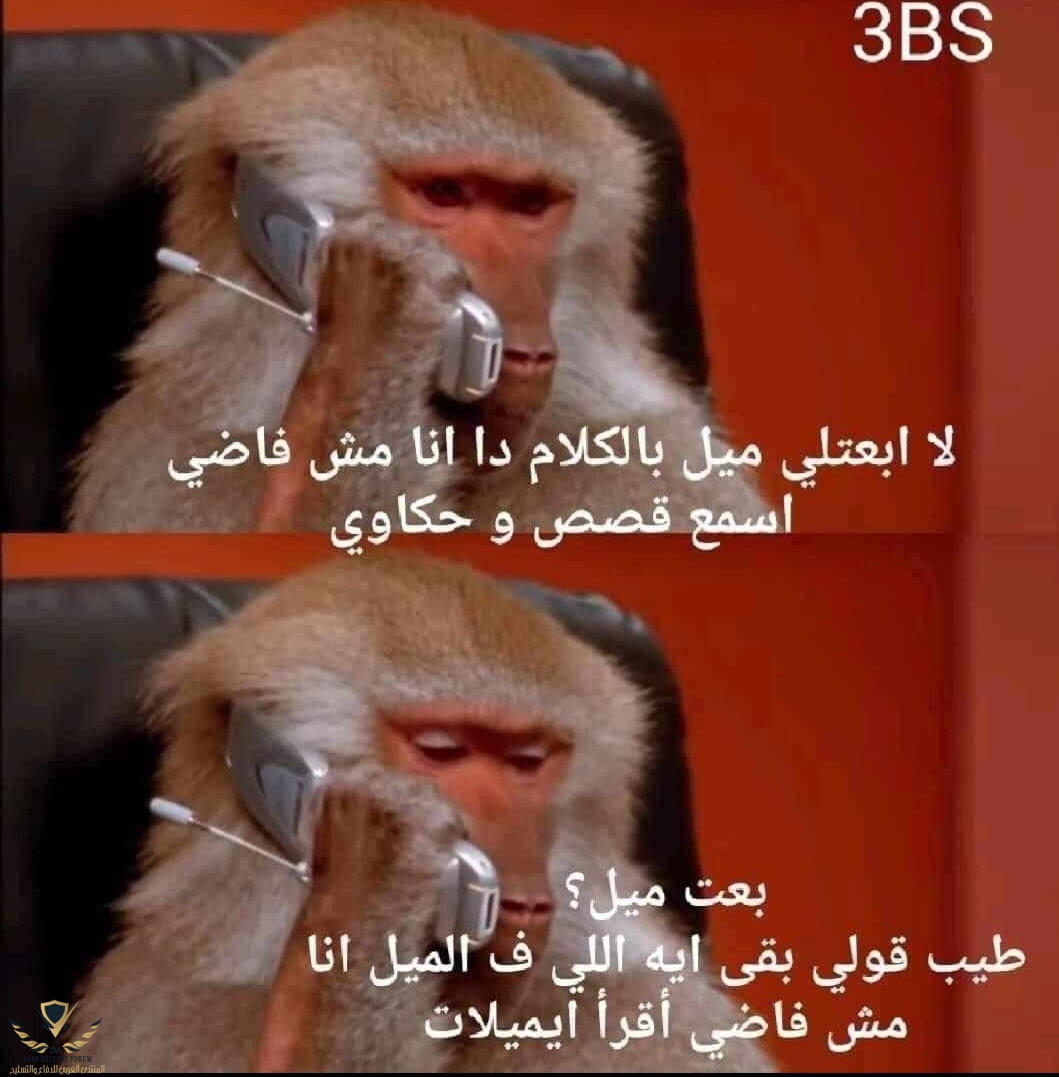 Screenshot_20220520-204948_WhatsApp.jpg