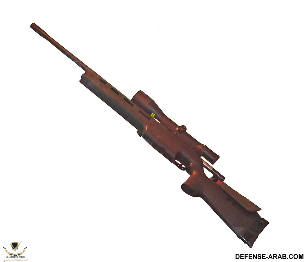 SIG-SSG-3000-p1030042.jpg